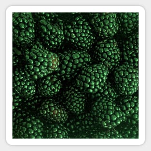 Fresh Delicious Blackberries in Green Sticker